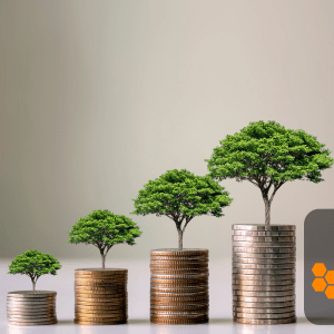 Croissance d'entreprise en cohorte